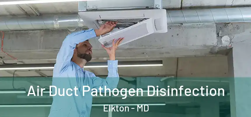  Air Duct Pathogen Disinfection Elkton - MD