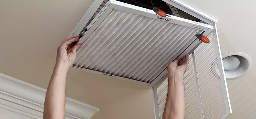 Preventive Cockroach-Proofing for Ducts in Elkton