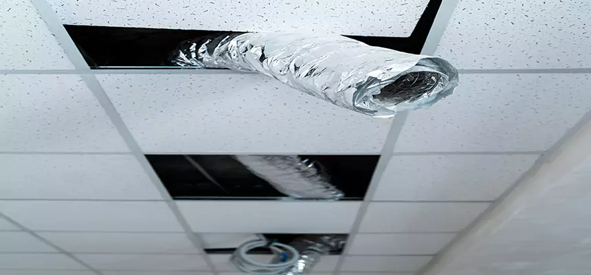 Our Air Duct Pet Hair Removal Services in Elkton, MD