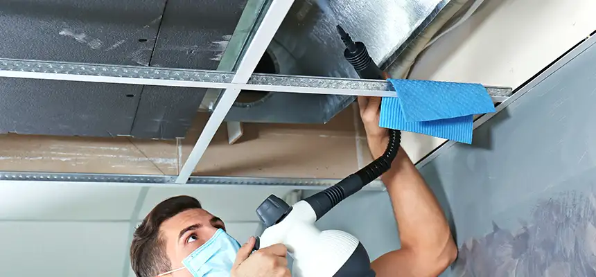 Our Air Duct Rodent Removal Services in Elkton, MD