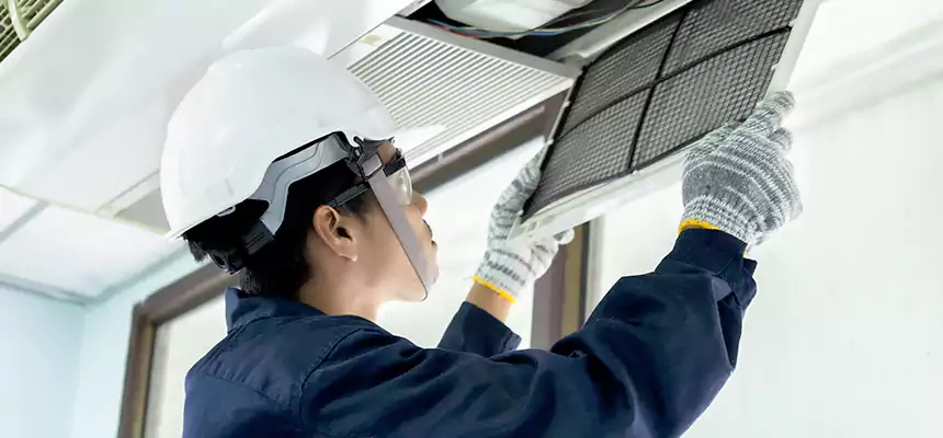 Our Mold & Mildew Removal from Air Ducts Services in Elkton, MD