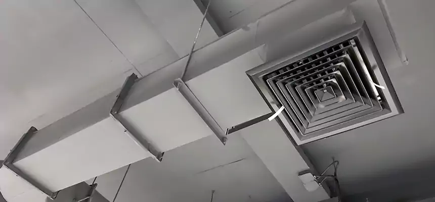 Our Pest Removal From Ducts Services in Elkton, MD