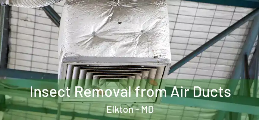 Insect Removal from Air Ducts Elkton - MD
