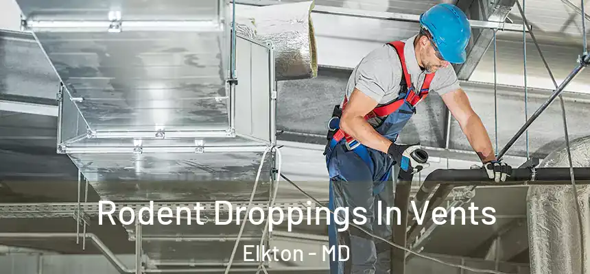 Rodent Droppings In Vents Elkton - MD