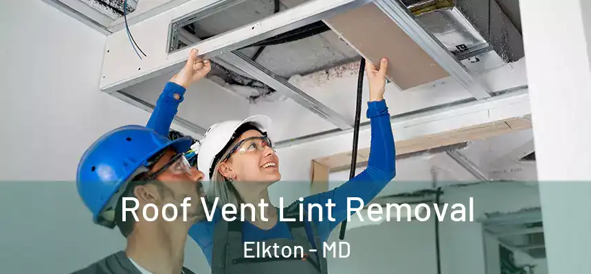 Roof Vent Lint Removal Elkton - MD