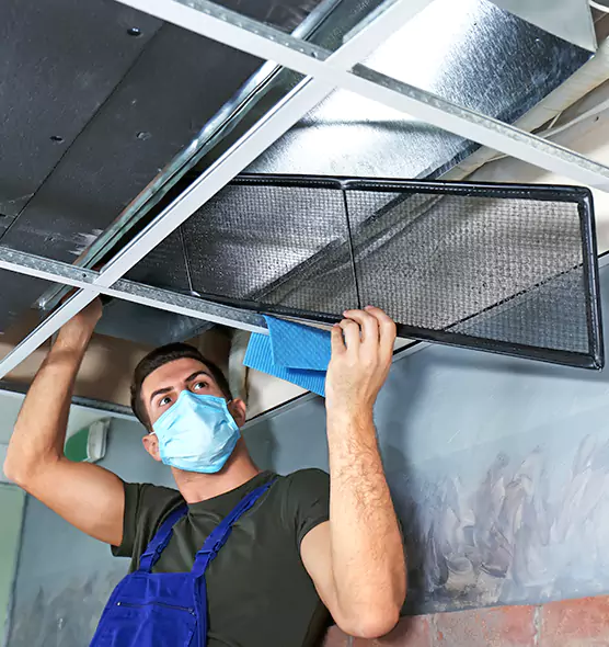 About Air Duct Bacteria Removal in Elkton