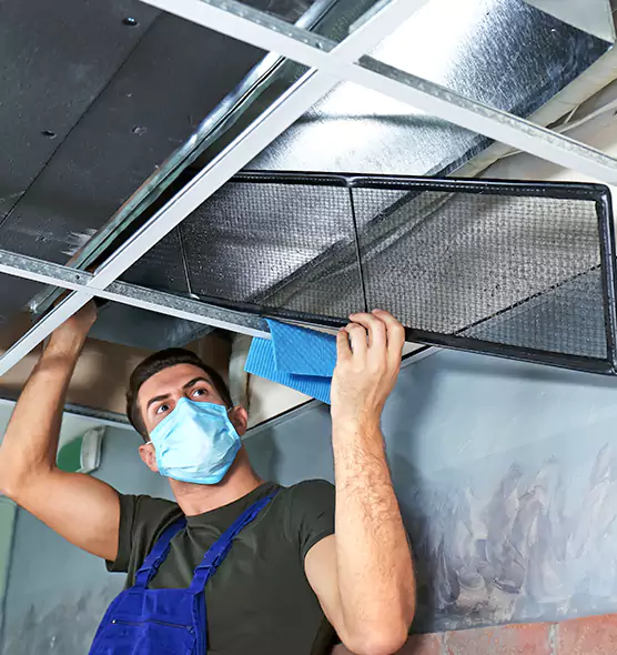 Professional Air Duct Pollen Cleaning in Elkton, MD