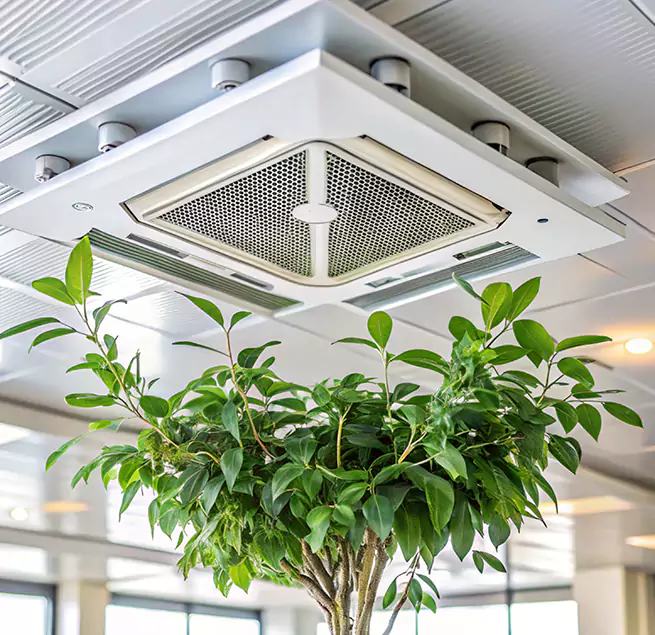 Why Homeowners & Businesses Trust Us in Elkton, MD?