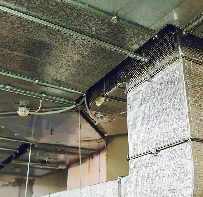 Why Homeowners & Businesses Trust Us in Elkton, MD?